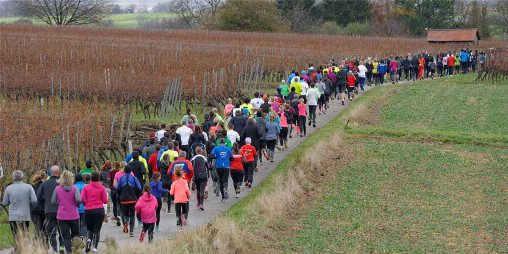 Bönnigheim Stromberglauf