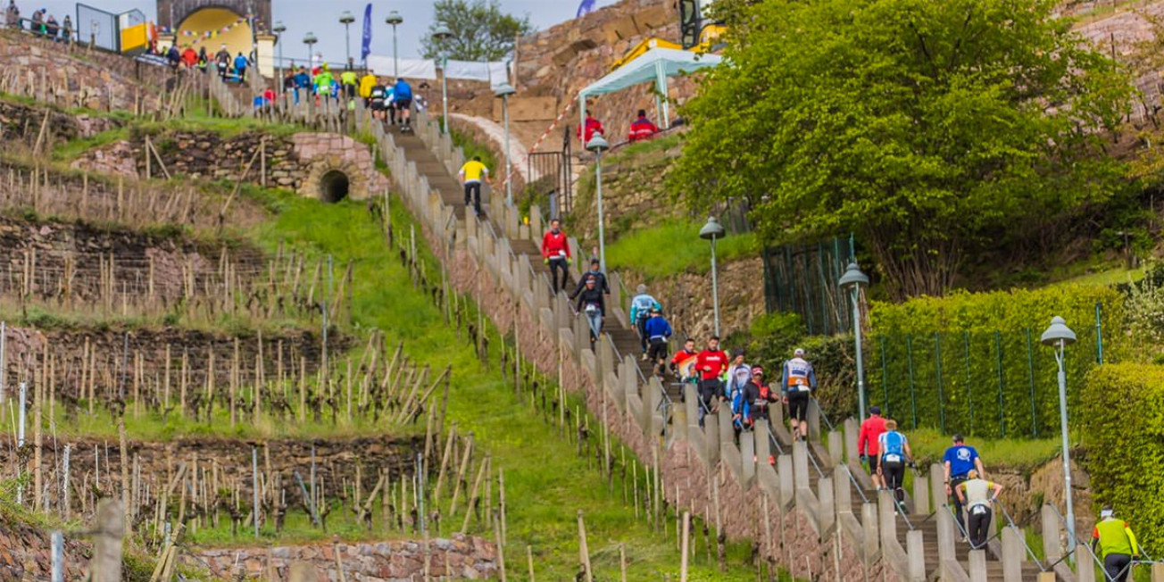 Sächsischer Mt. Everest Treppenmarathon in Radebeul