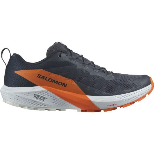 Salomon Sense Ride 5 Gore-Tex Herren grau