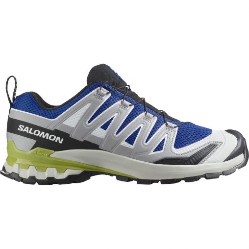 Salomon Herren XA Pro 3D V9 Schuhe