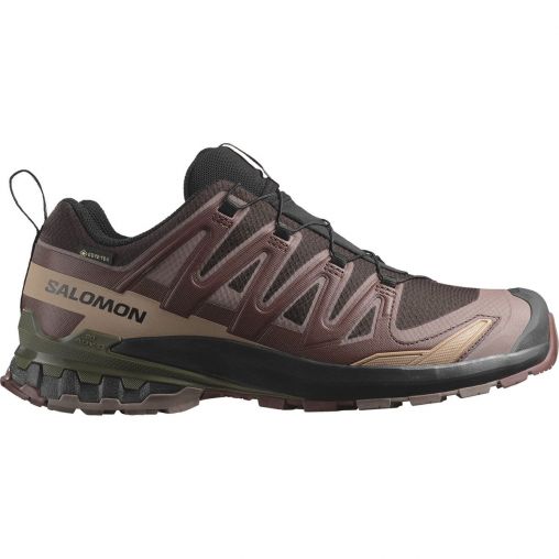 Salomon XA Pro 3D V9 Gore-Tex Herren braun