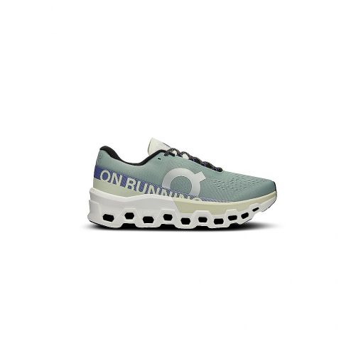 ON Herren Laufschuhe Cloudmonster 2 grau | 45