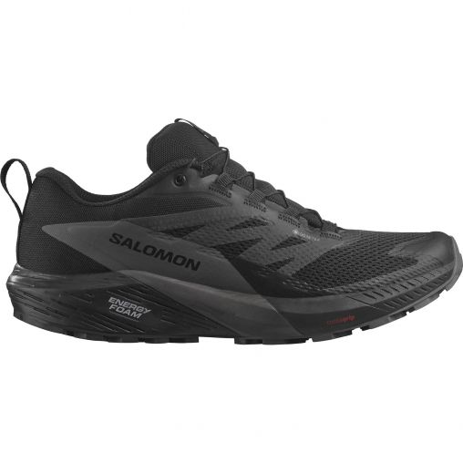 Salomon SENSE RIDE 5 GTX Laufschuhe Herren