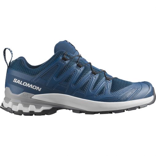 Salomon Herren XA Pro 3D V9 Schuhe