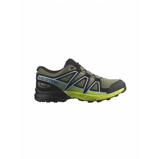 SALOMON Damen Traillaufschuhe XA PRO 3D V9 GTX olive | 35